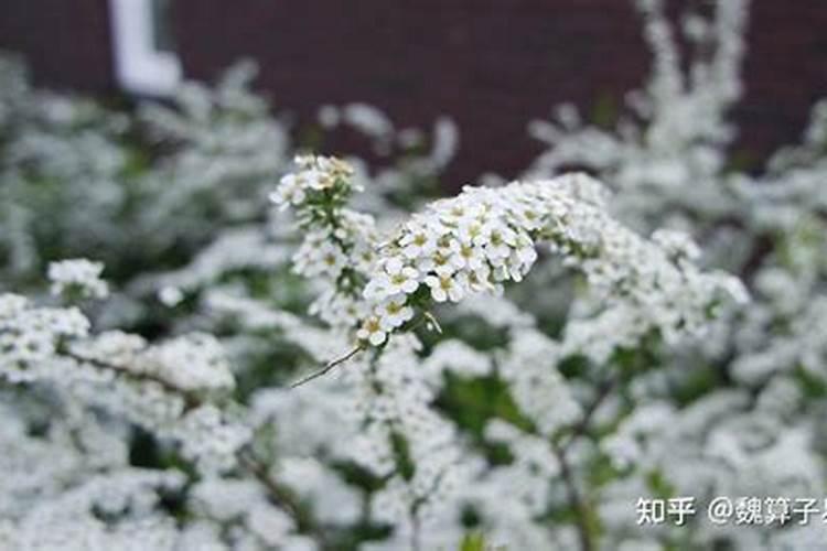 鬼节晚上是否不宜出门