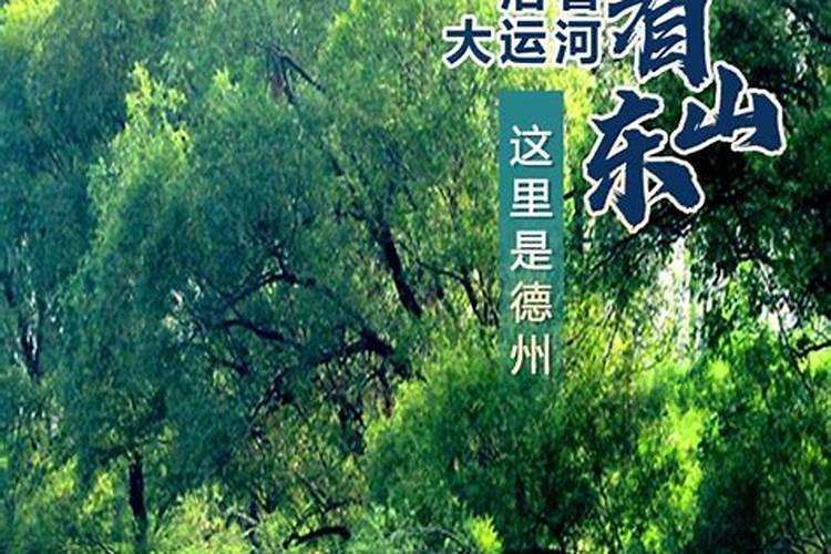 你对斗蛐蛐有哪些了解？