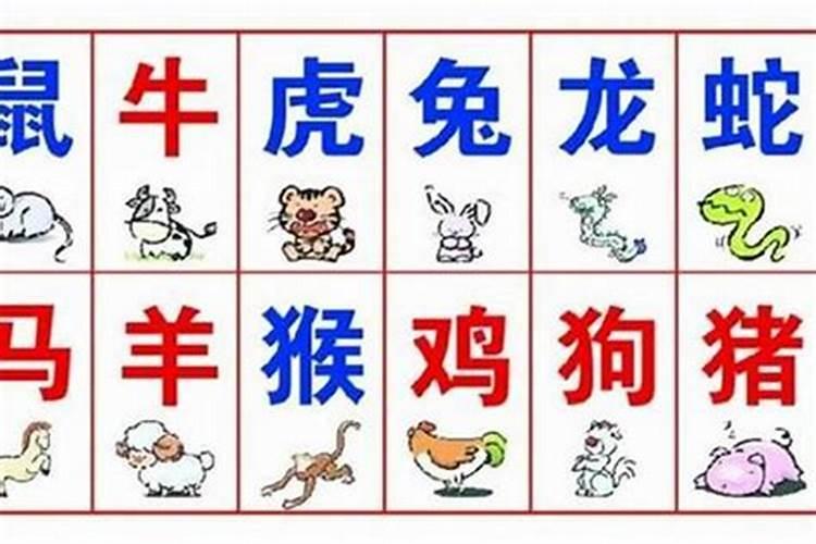 什么八字的人天生就有财