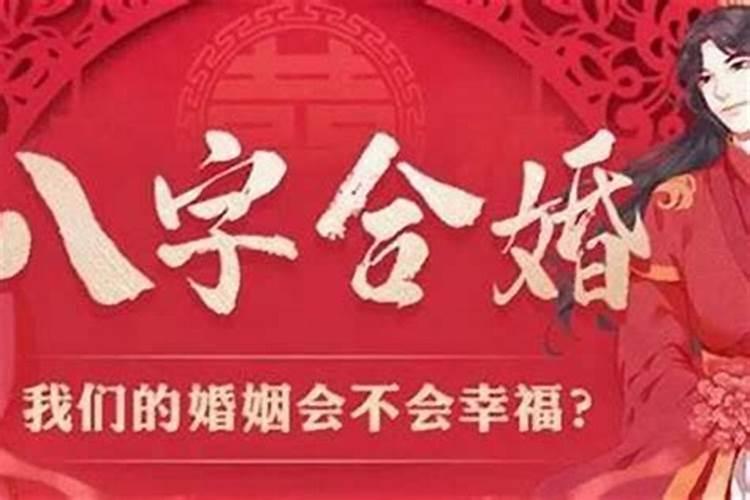 八字不合指的是什么