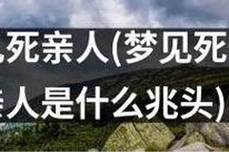 75年兔女2025年运势