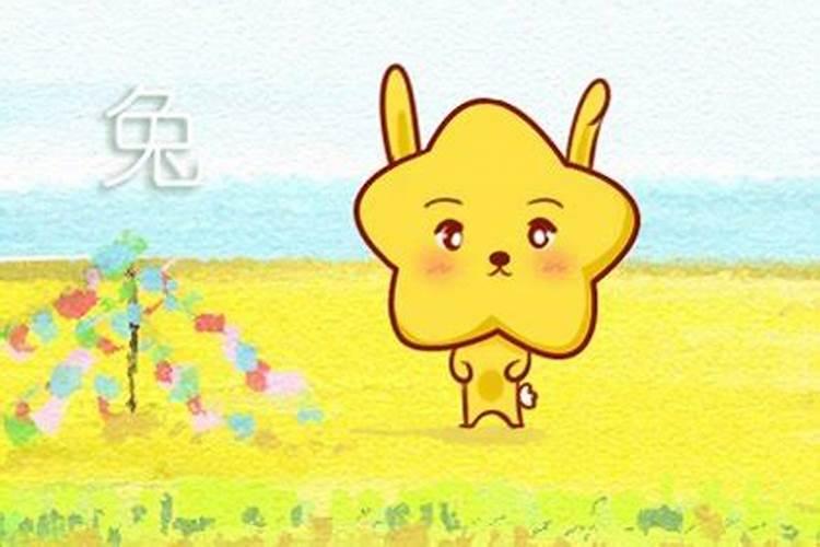 两个属兔的人结婚婚姻怎么样 爱情配对如何？