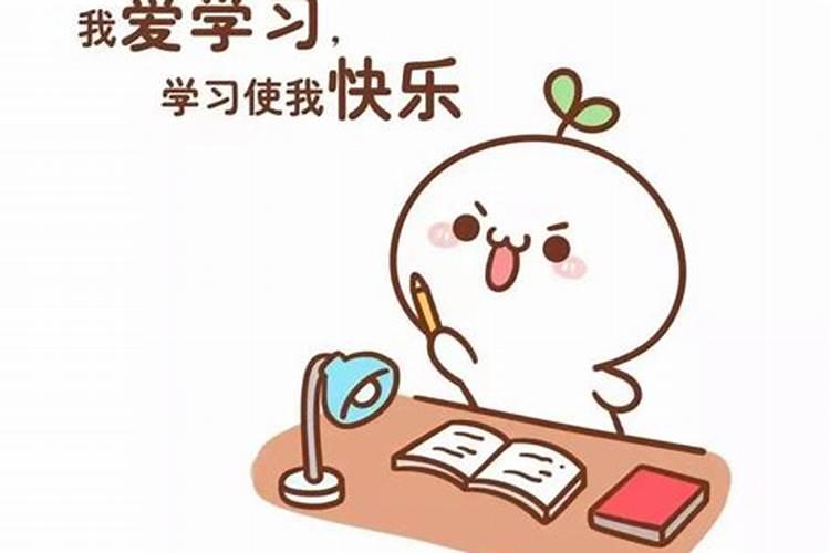 2025年5月17日12生肖运势