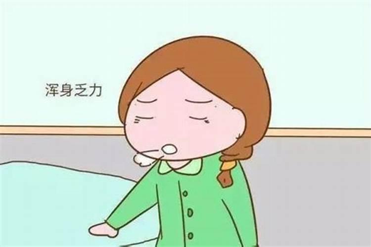 1982年的狗2025运势