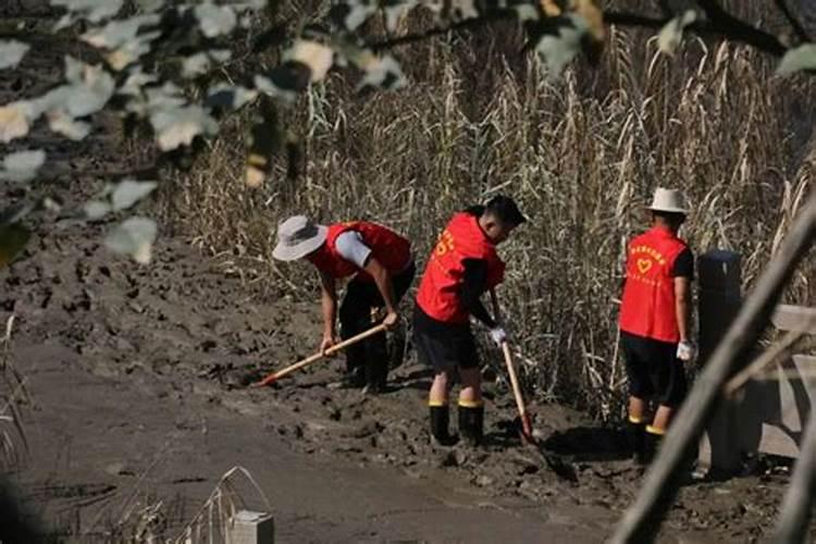 82年属狗2025年每月运势