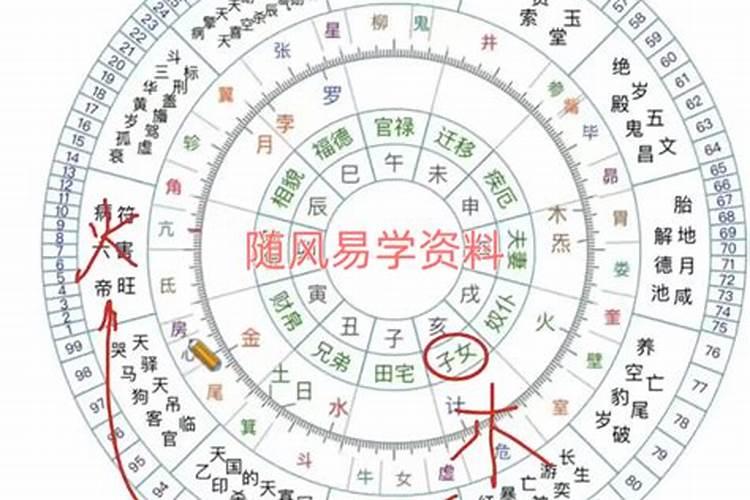 生肖龙2025年运势 属龙人2025年每月运势
