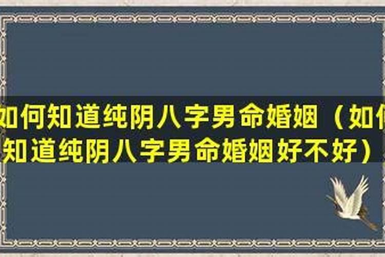 2025年猪犯太岁怎么化解