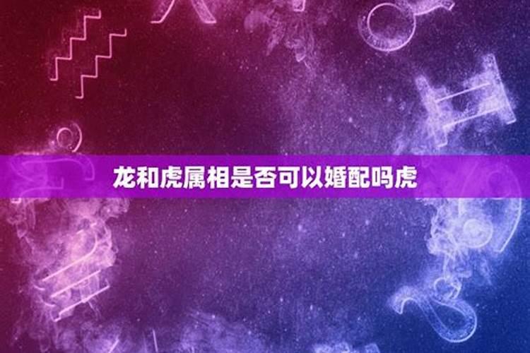 马遇牛年的运势好不好 凶星影响财运？