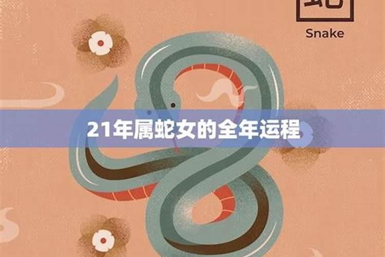有人会算命吗