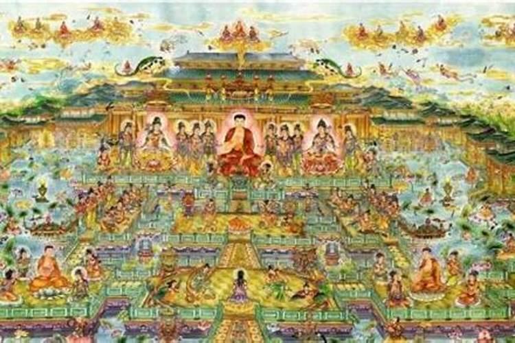 梦见乌龟在盆里游泳的预兆