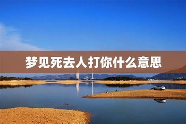 73年的牛一生命运如何
