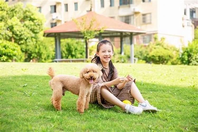 正月十五送灯放鞭炮吗