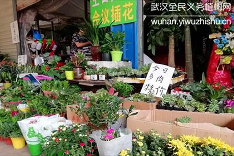 清明节作文结尾,好一点(习俗结尾)跪求