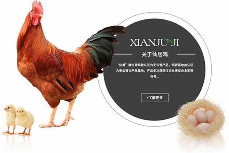 清明节各地都吃什么
