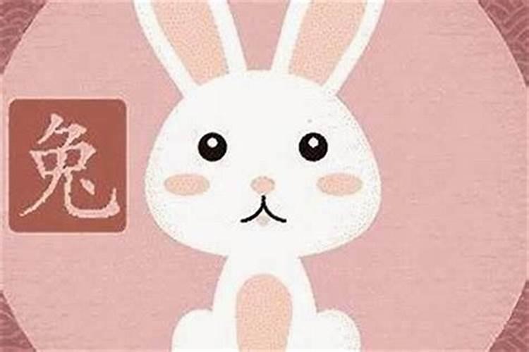 冬至出生的女孩命相怎样
