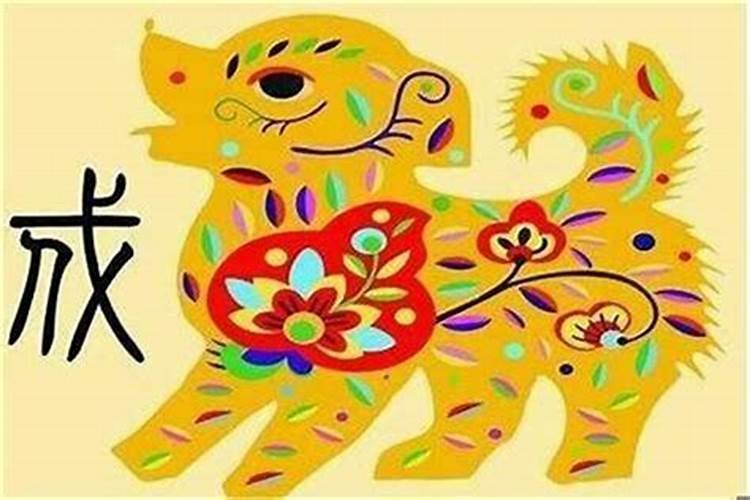 属兔63年出生找70年属狗感情怎么样,能不能过到老