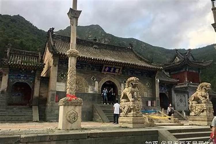 2025几月蛇最有福气 2025蛇是百年难遇吗