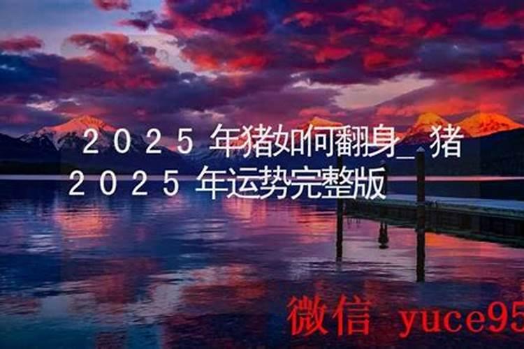 2025年各属相运势及运程