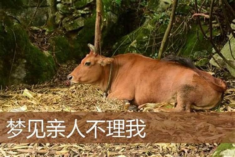 请老祖宗回家过年 除夕夜祭祖仪式