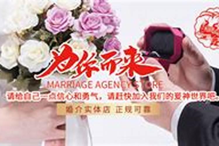 婚姻中介费一般是收多少