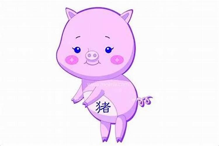 属猪女出嫁送亲什么属相好,属猪的女生结婚找什么属相的好？