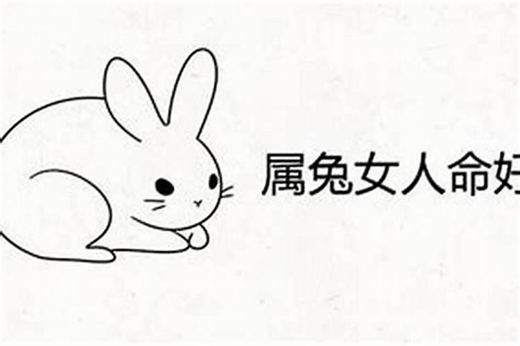 农历十一月出生属兔男命