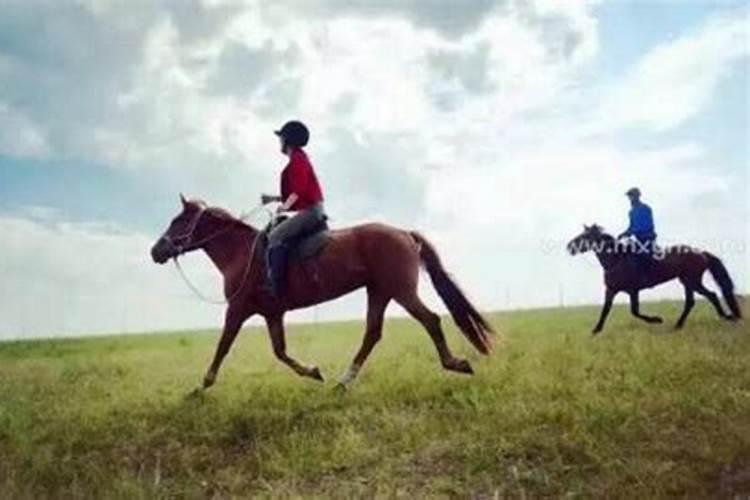 梦到骑马飞奔是什么意思 这是什么预兆吗