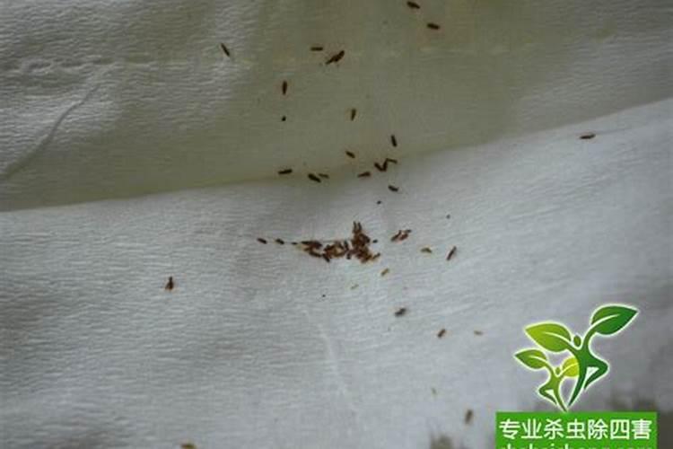 梦见前女友来找我了,代表着什么