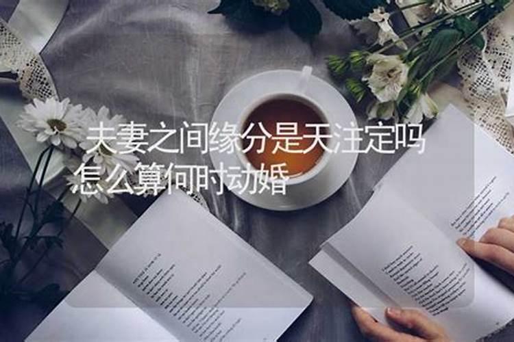 什么时候动婚姻,什么时候动婚？