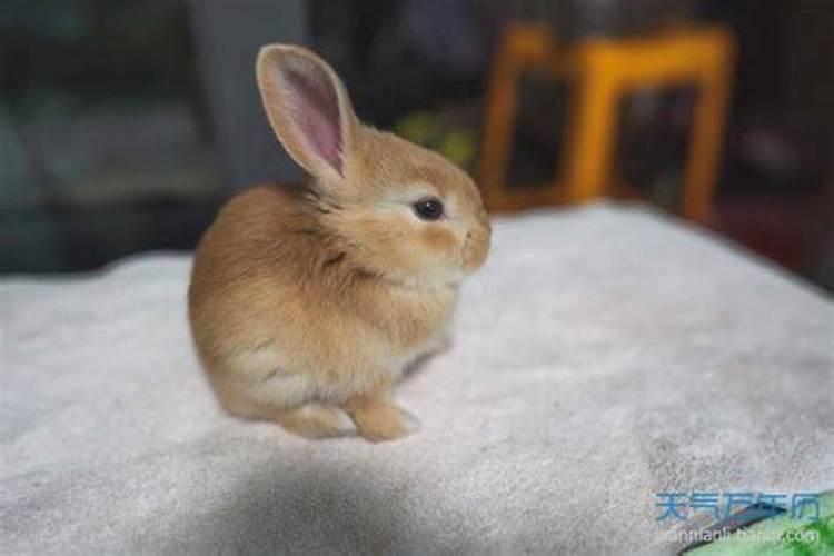 ...朋友在一起两年了今年她回家后算命说我们八字不合,然后她叫我也算...