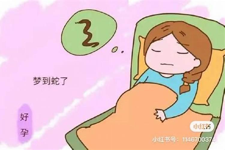 梦见别人把蛇扔到我身上是什么意思