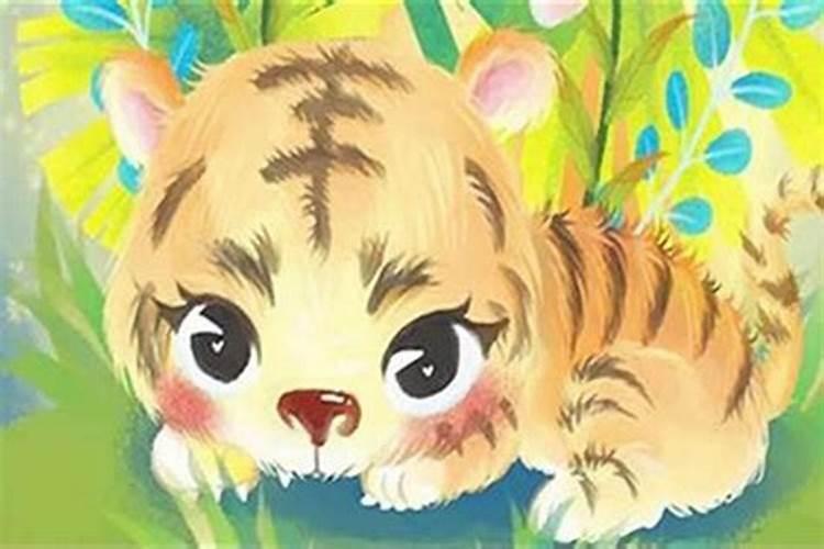 本命年能过生日吗