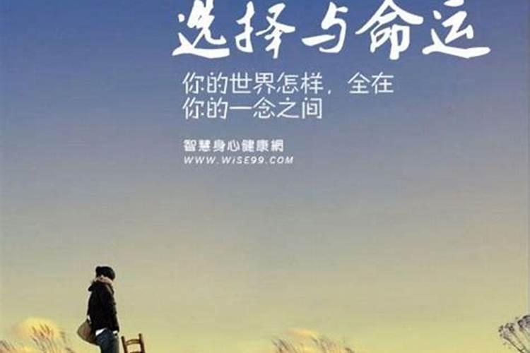 冬至后的105天是什么节日