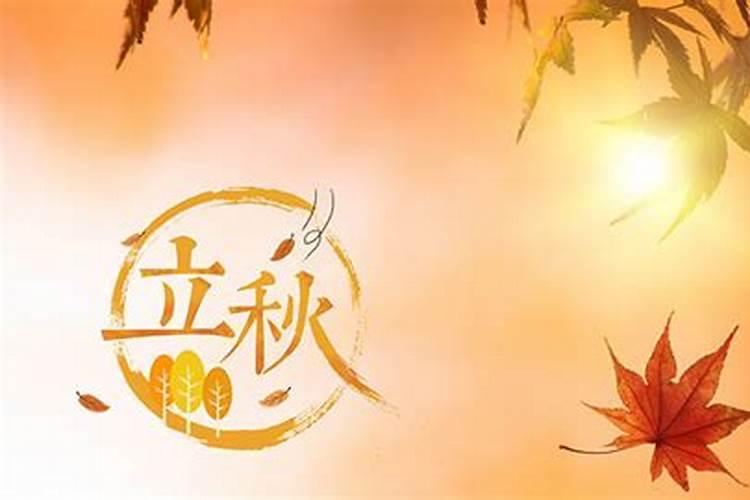 2025年生肖蛇的人的命理运势如何？