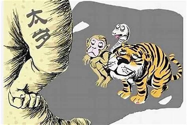 90年7月20的女马今年怎么样？