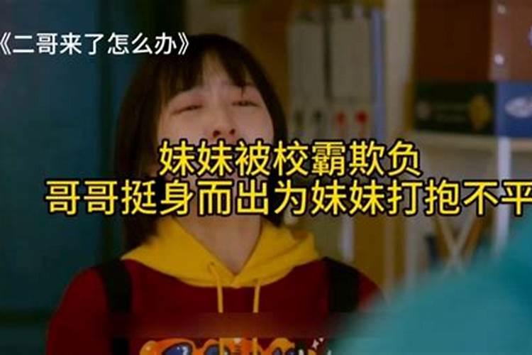 属牛和属狗合不合