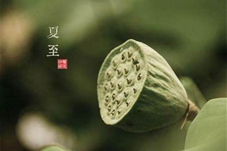 十月寒冬:是什么意思？