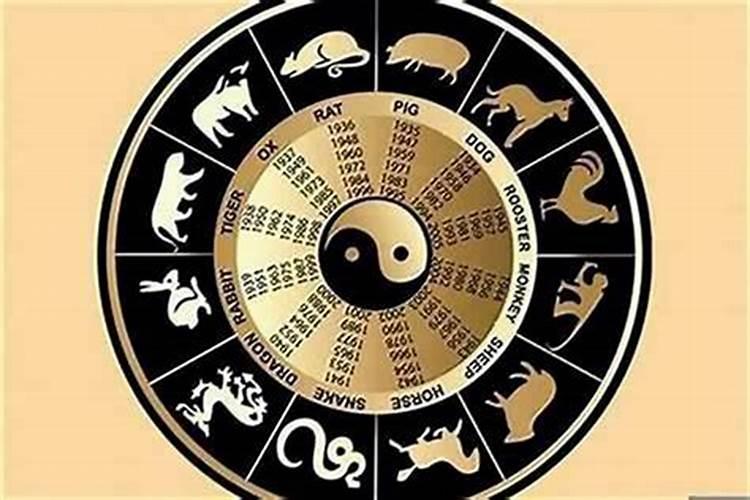 属相不合真的不能在一起吗？