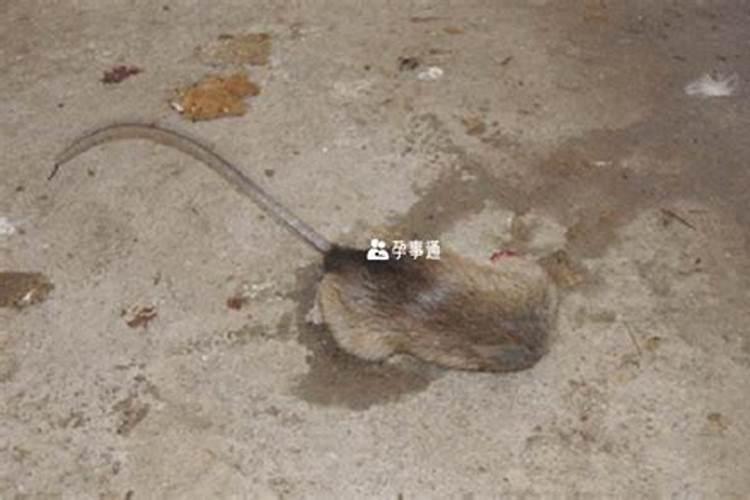 2025大年初一财神在什么方位