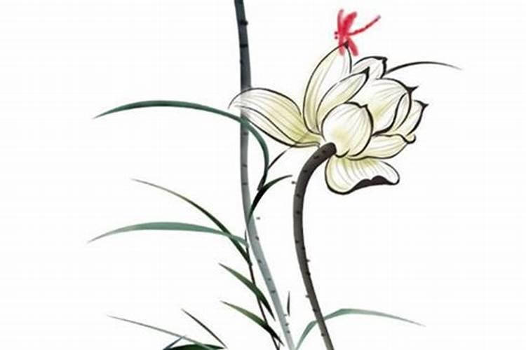 九月初九重阳节出生的人都什么命运