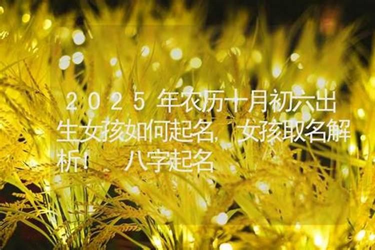 立冬活动主题方案