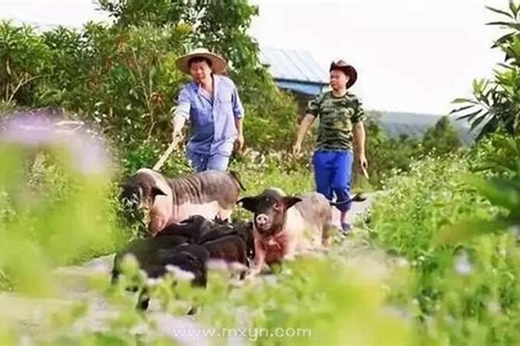 梦见好多人在一起是什么寓意 梦见好多人在一起梦境解析