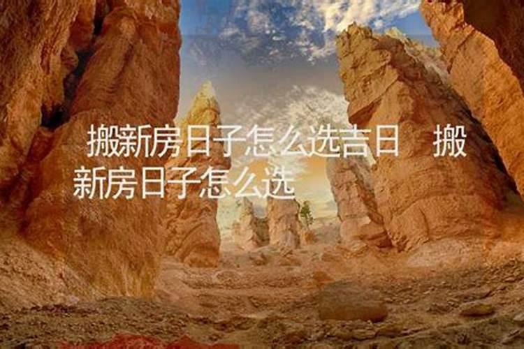 秋分吃什么食物养生