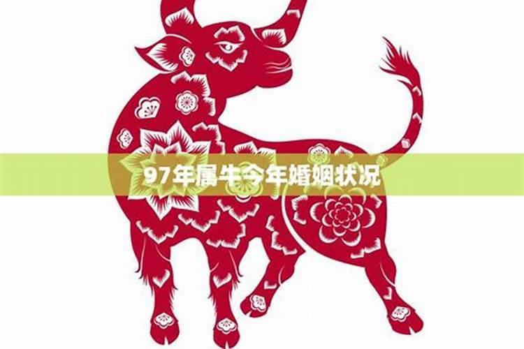 属虎2021年运势及运程是怎样的？
