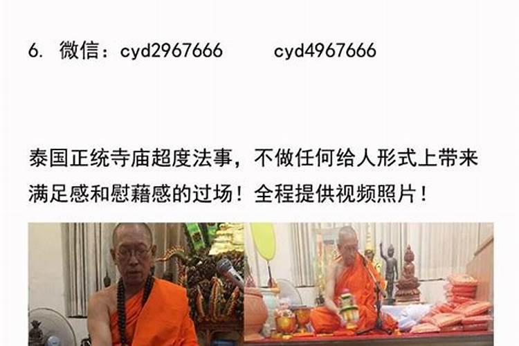 樱花树下三部曲顺序