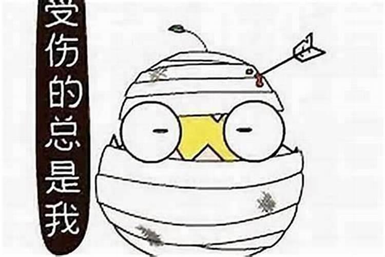 属狗女2025年每月运势
