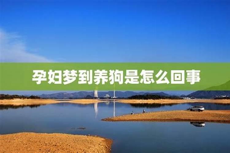 属牛中午出生的女孩命运怎么样 午时出生的女生性格好不好？