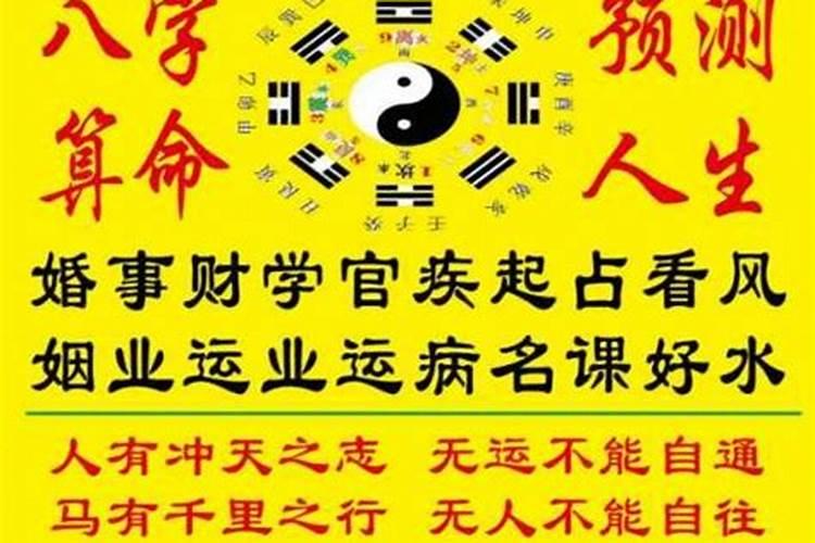 91年1月属什么生肖