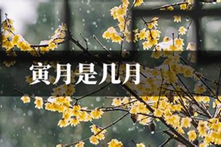 六八年的猴是什么命