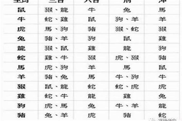 属猪和属马相配婚姻如何 性格之间相互吸引